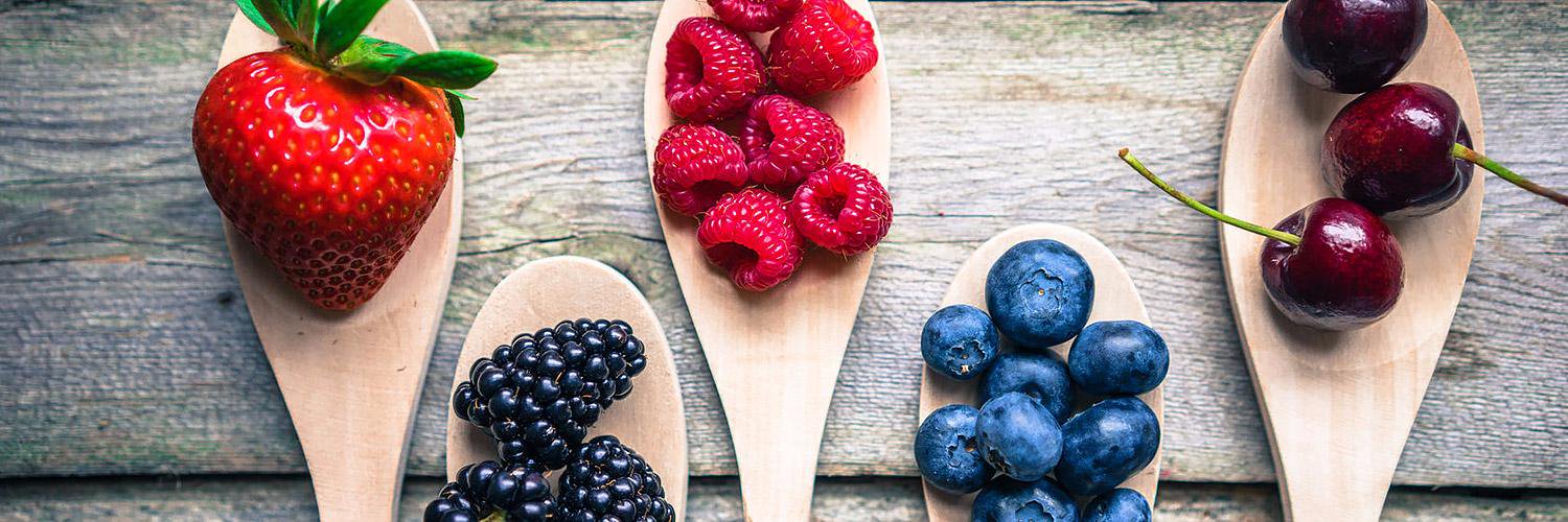 MyFoodDiary banner