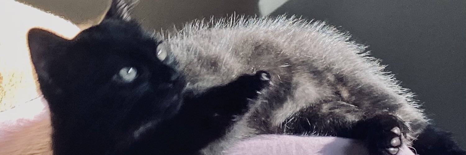 wolfash_'s profile banner image