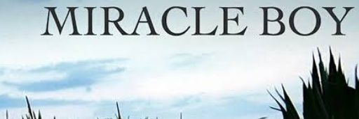 miracleboypost's profile banner image