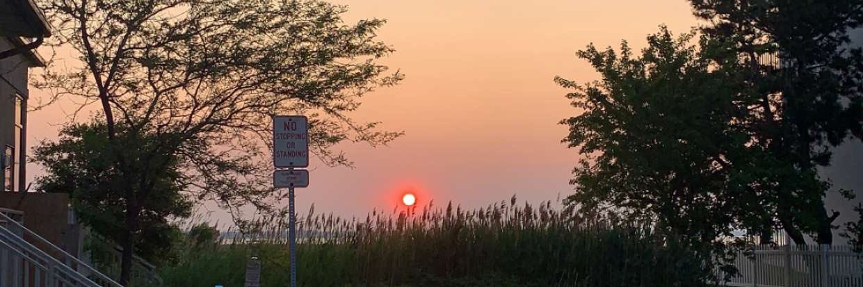 JohnsonNicholss's profile banner image