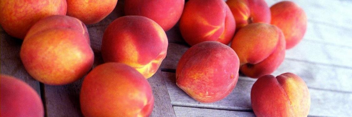 FarmhouseFruit's profile banner image