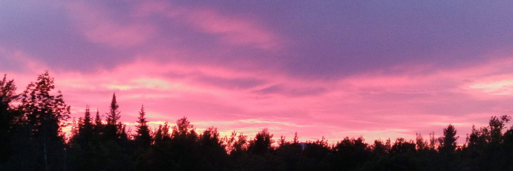 Micho Schumann banner