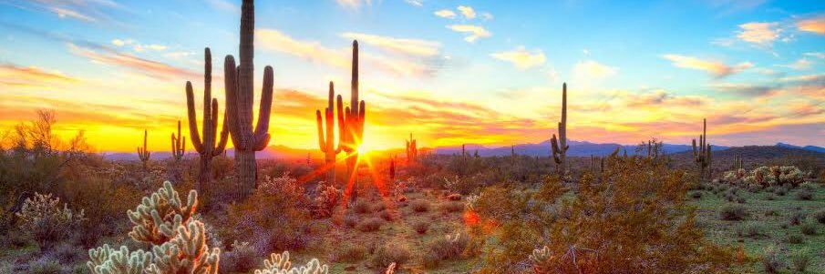 alexprado86's profile banner image