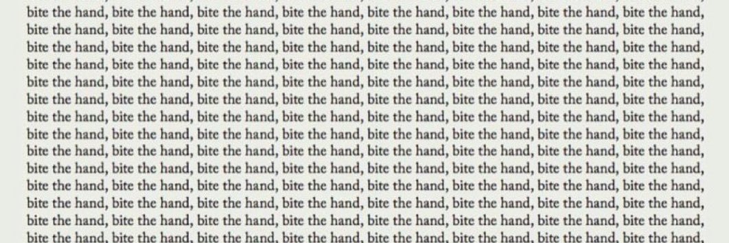 localstraydog's profile banner image