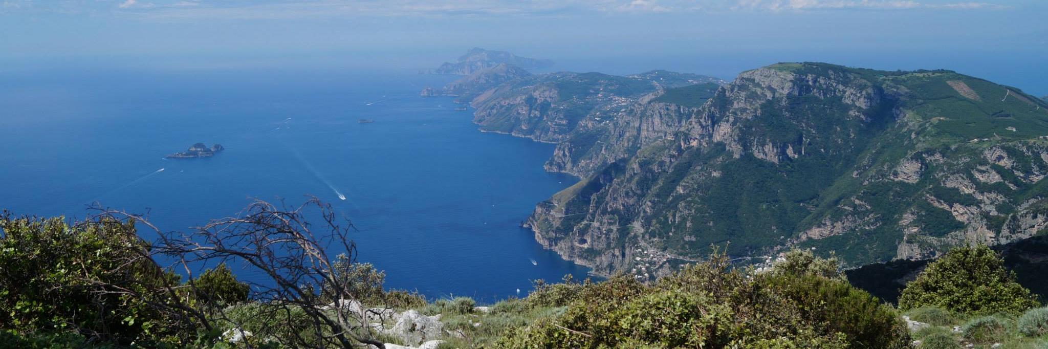 Travis Mitchell banner