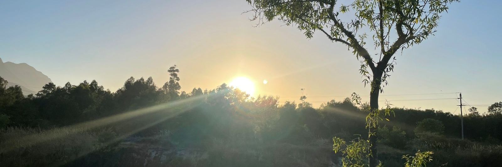 Dr. Silly Cyril banner