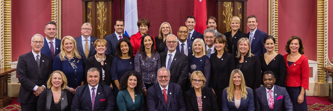 David Birnbaum banner