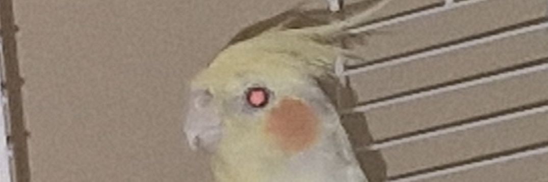 florek_kun's profile banner image