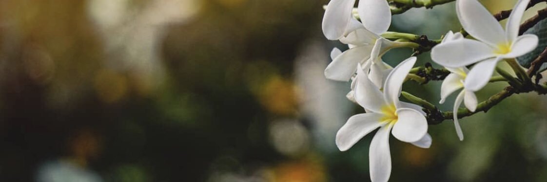 IshaDhar's profile banner image