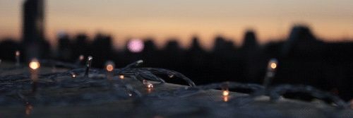 Frida 🐝🌳🍂 banner