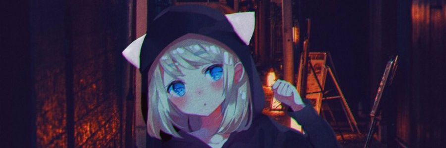 DONALD TRAP banner