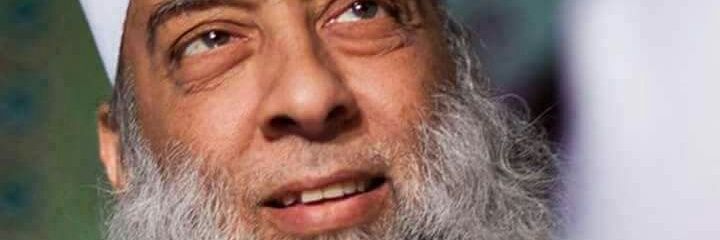 Dalia Elsayed banner