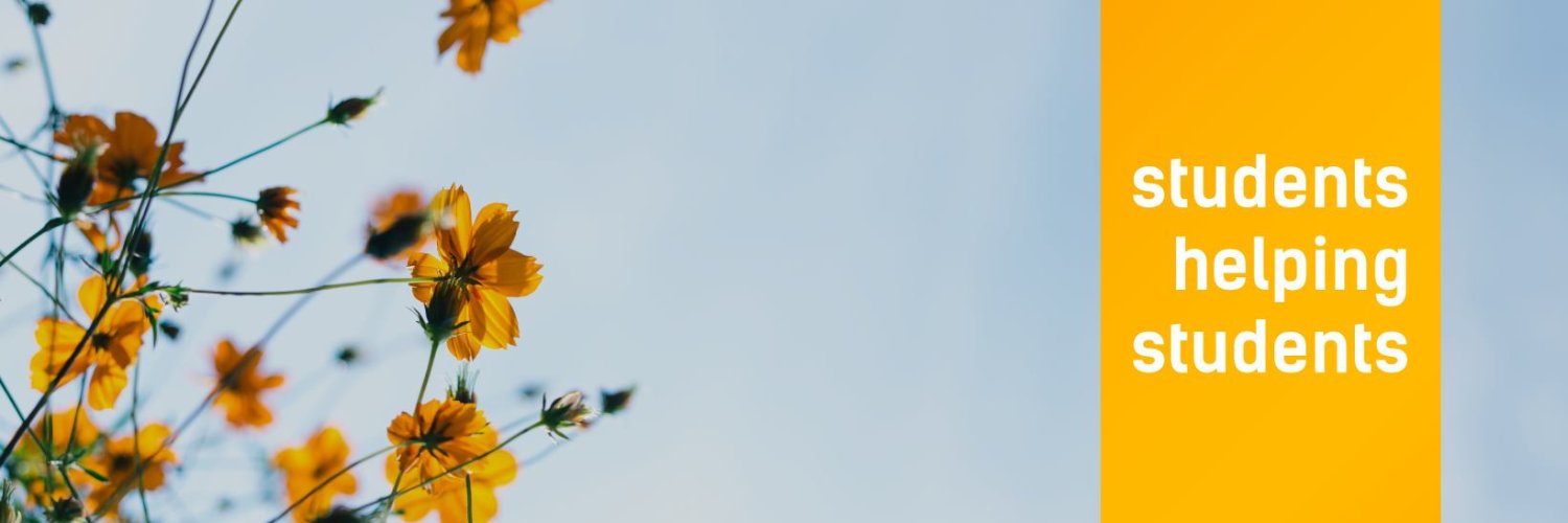 ESNHungary's profile banner image