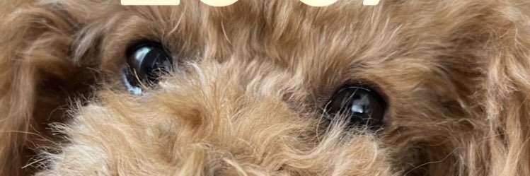 MfZ2p's profile banner image