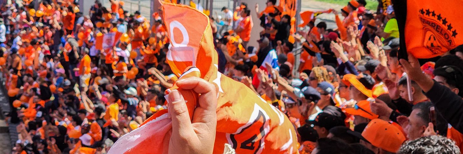 Dani Soto 🇨🇱 🦊 banner