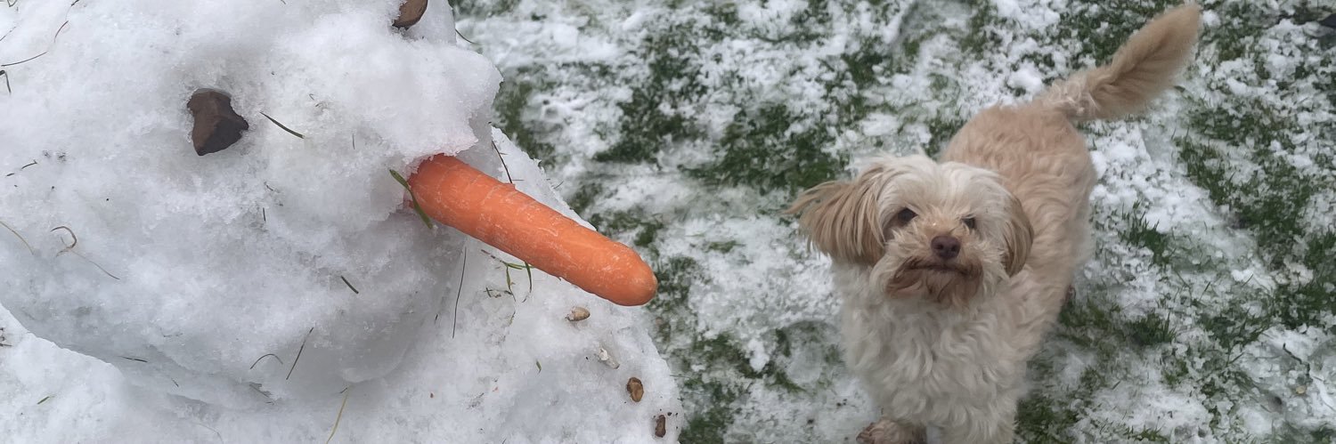Sam Mclaughlin banner