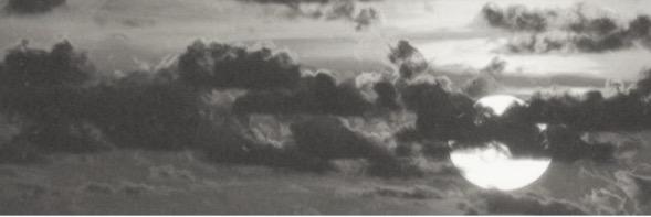 thatlostgirI's profile banner image