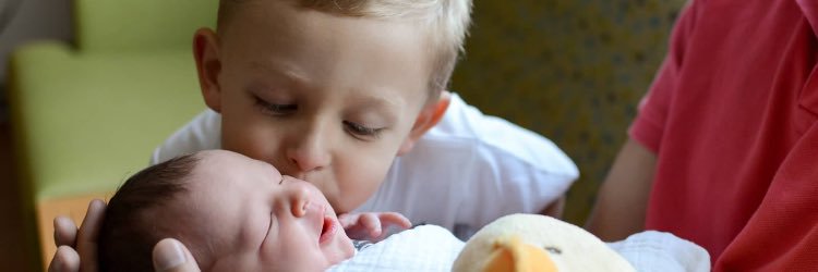 leslieplans's profile banner image