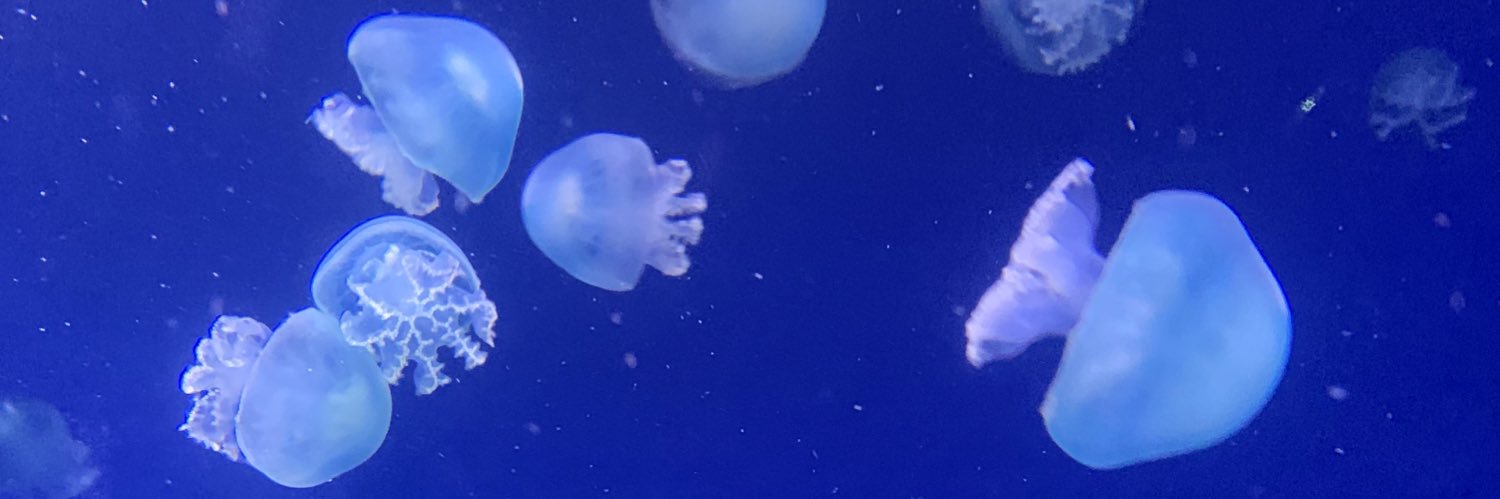 w_early_ice's profile banner image