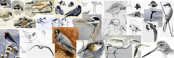 TimWorfolk Profile Banner