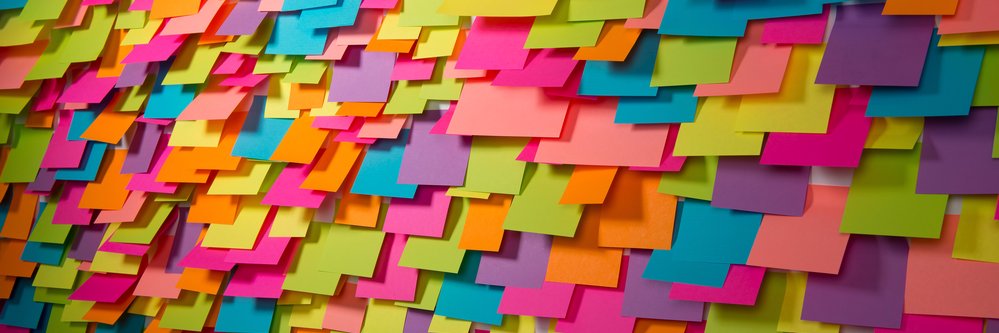 Valeria Vasquez banner