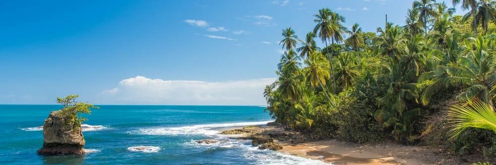 Pursol13™️ banner