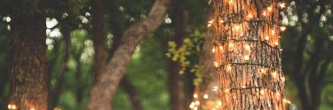 JayyRudd's profile banner image