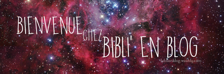 BibliEnBlog's profile banner image