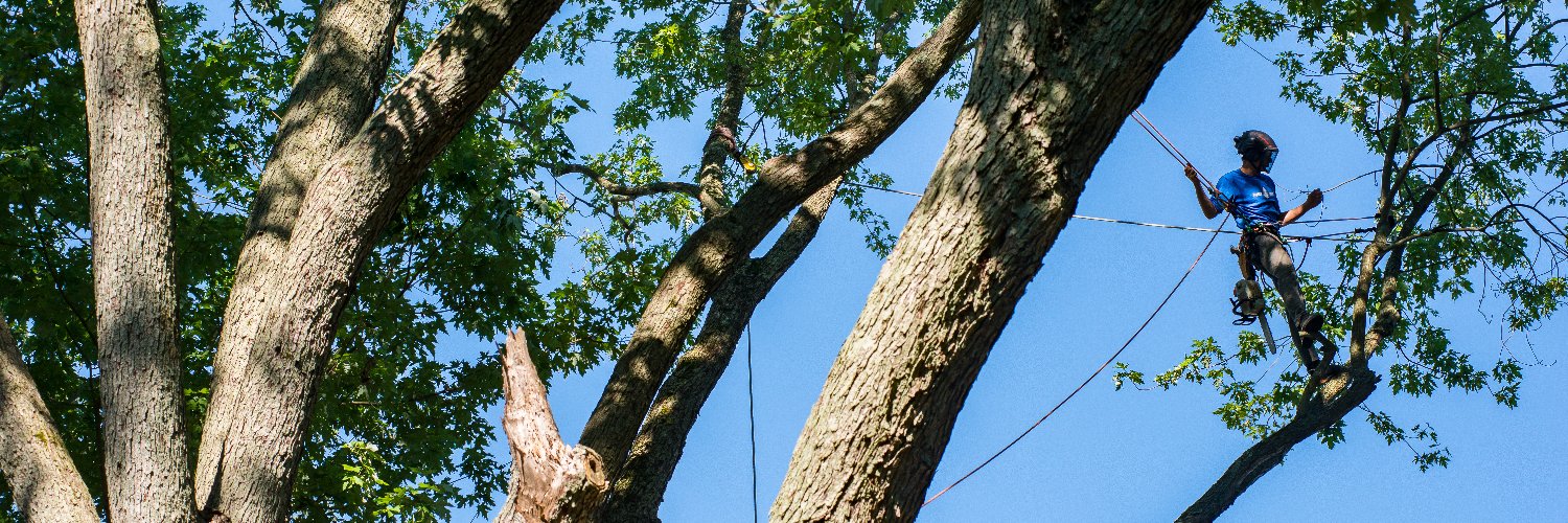 FamilyTreeCare's profile banner image