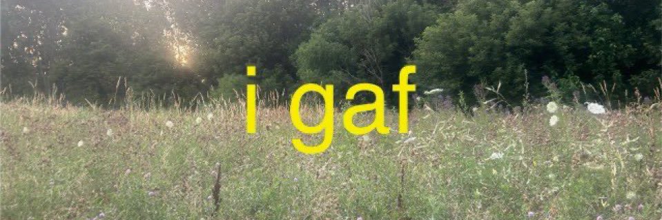 swastarainold's profile banner image