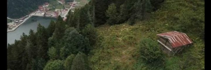 Asezgiin's profile banner image