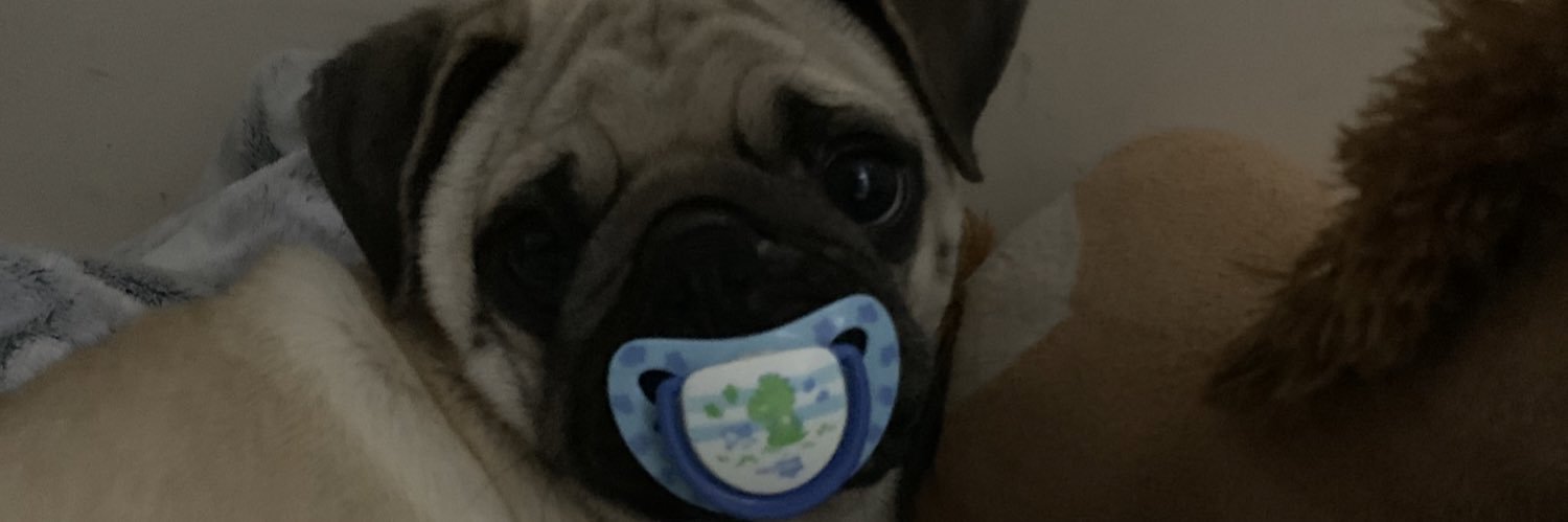 DeboBortolini's profile banner image