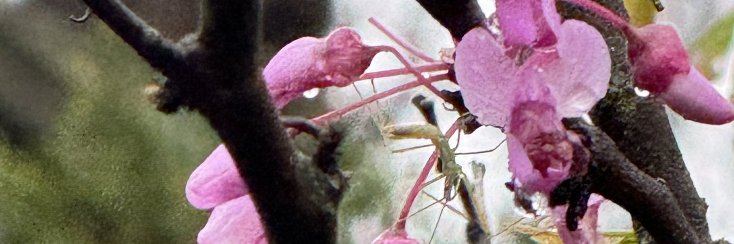 jjason7's profile banner image