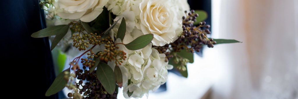 stephmmoretti's profile banner image