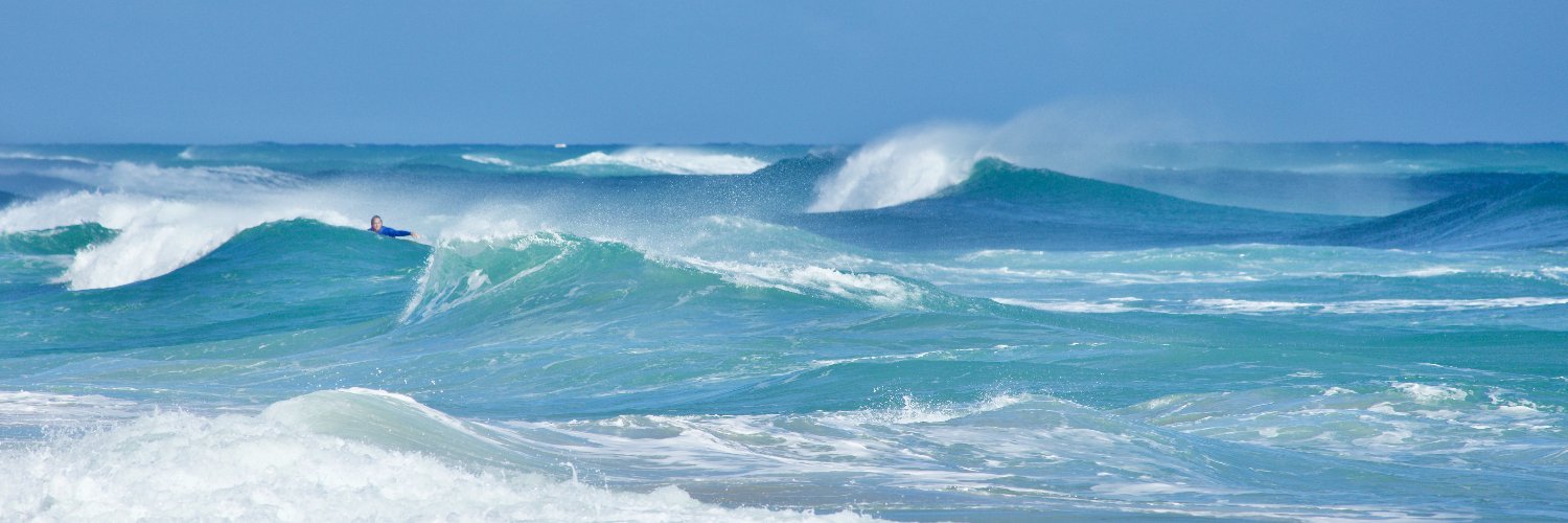 beachbumchix's profile banner image