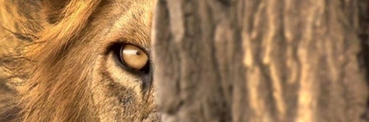 arrtablack's profile banner image