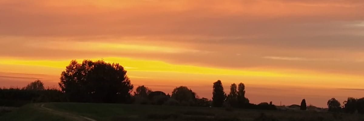 VioletCarmen's profile banner image