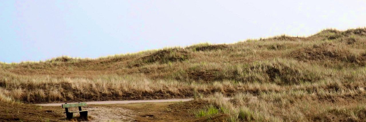 eymencakin's profile banner image