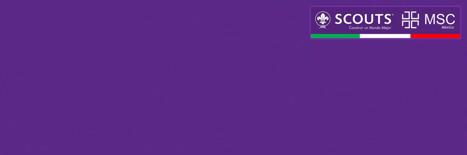 scoutsMX's profile banner image