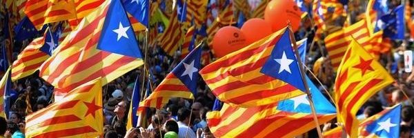 Asun Toldrà banner