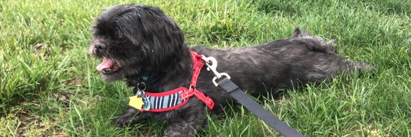 brittbinya Profile Banner