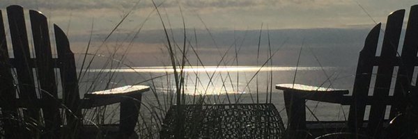 AmericaIsSafe Profile Banner