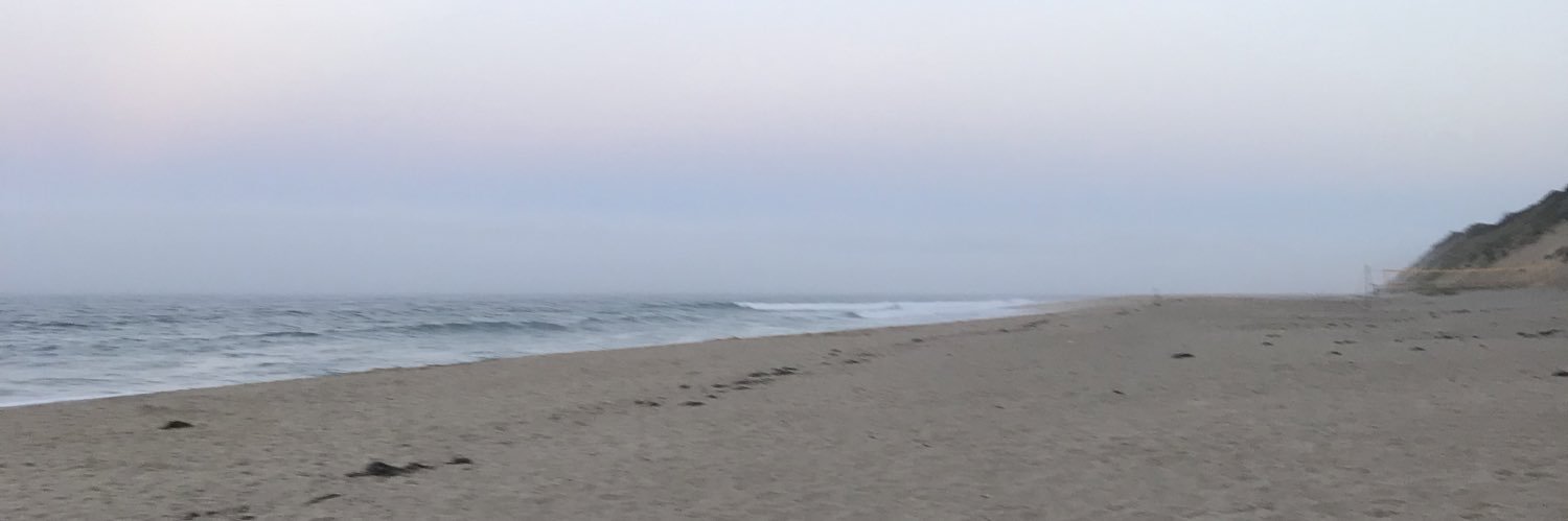 megansteele22's profile banner image