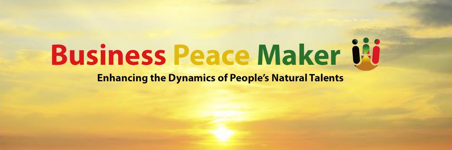 BizPeaceMaker's profile banner image