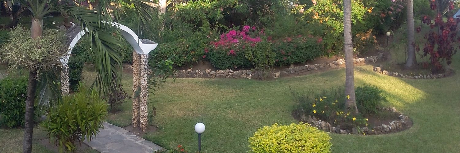 TonyWanambisi's profile banner image