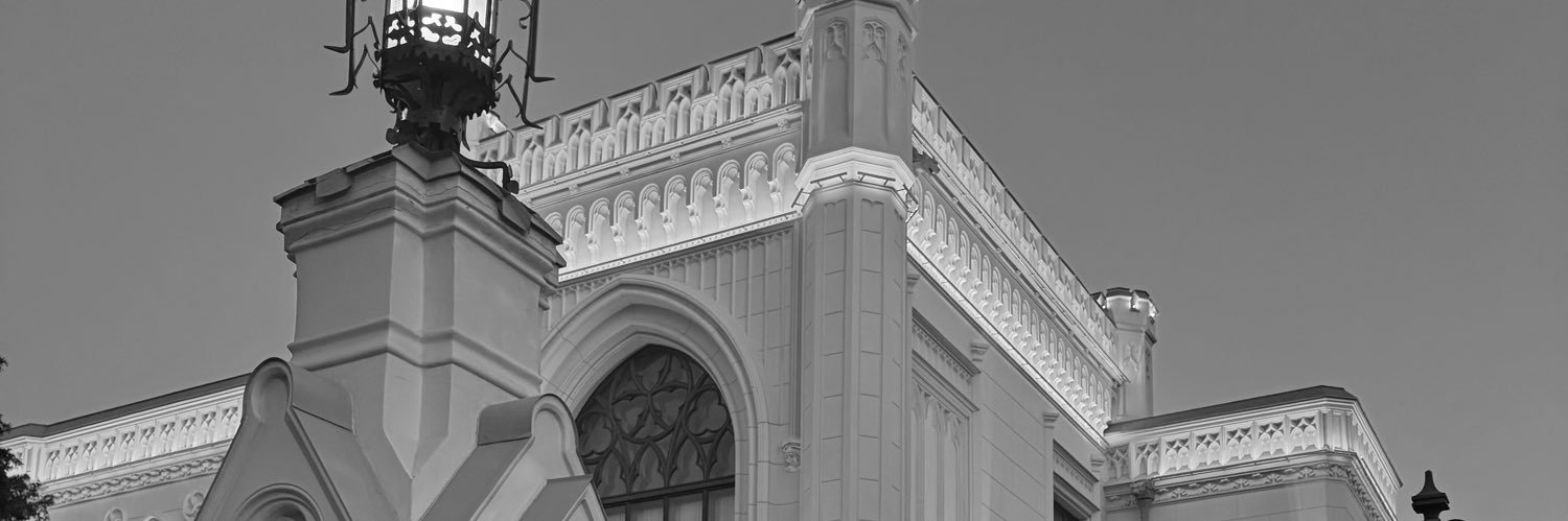 vikky_ant's profile banner image