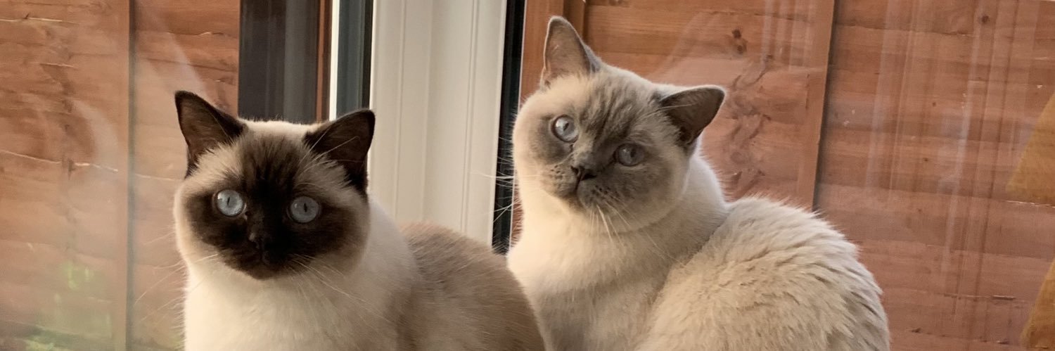 Jabbafish's profile banner image
