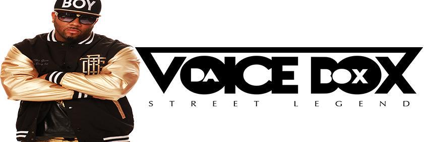 davoicebox's profile banner image