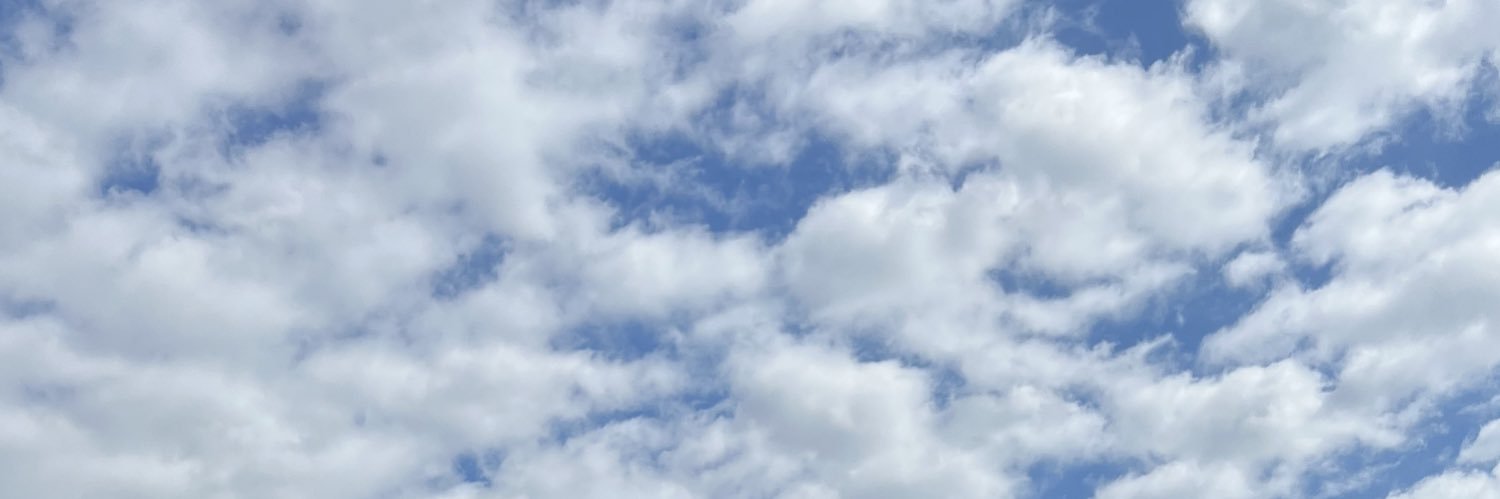 shawntlecake's profile banner image