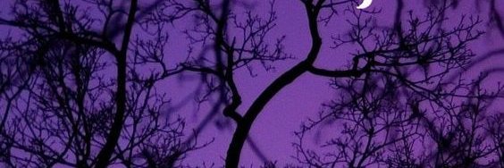 workerthug's profile banner image